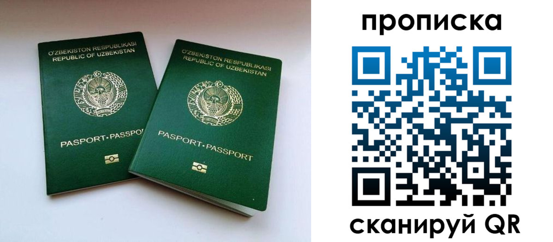 прописка поиск в Ясном